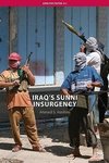 Hashim, A: Iraq's Sunni Insurgency