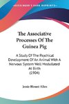 The Associative Processes Of The Guinea Pig