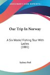 Our Trip In Norway