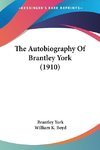 The Autobiography Of Brantley York (1910)