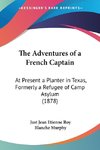 The Adventures of a French Captain