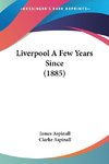 Liverpool A Few Years Since (1885)