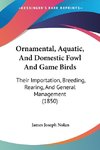 Ornamental, Aquatic, And Domestic Fowl And Game Birds