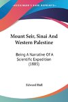 Mount Seir, Sinai And Western Palestine