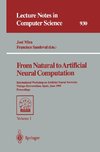 From Natural to Artificial Neural Computation