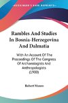 Rambles And Studies In Bosnia-Herzegovina And Dalmatia