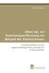 Alnus ssp. zur Rutschungsaufforstung am Beispiel der Stambachmure