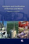 Pyrolysis and Gasification of Biomass and Waste