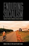 Enduring Socialism