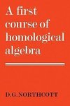 A First Course of Homological Algebra