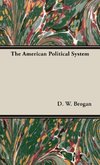 The American Political System