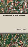 The Promise Of American Life