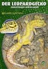 Der Leopardgecko - Eublepharis Macularius