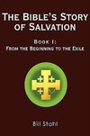 The Bible's Story of Salvation