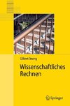 Wissenschaftliches Rechnen