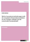 Welche besonderen Anforderungen stellt die europäische Wasserrahmenrichtlinie an den Leipziger Südraum und die entstehende Seenlandschaft?