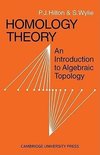 Homology Theory