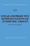 Linear and Projective Representations of Symmetric Groups