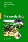 The Sweetpotato