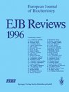 EJB Reviews 1996