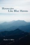 Mountains Like Blue Herons