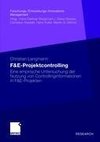 F&E-Projektcontrolling