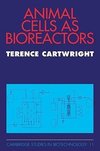 Animal Cells as Bioreactors