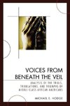 Voices from Beneath the Veil