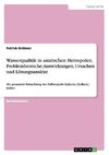 Wasserqualität in asiatischen Metropolen. Problembereiche, Auswirkungen, Ursachen und Lösungsansätze