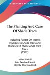 The Planting And Care Of Shade Trees