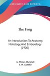 The Frog