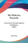 The White Sea Peninsula