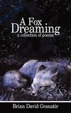 A Fox Dreaming