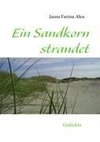 Ein Sandkorn strandet