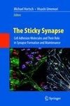 The Sticky Synapse