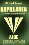 Kapillaren bestimmen unser Schicksal