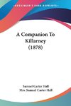 A Companion To Killarney (1878)