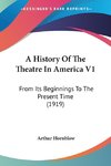 A History Of The Theatre In America V1