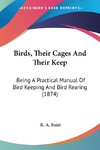 Birds, Their Cages And Their Keep