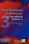 Fast Pyrolysis of Biomass