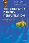 The Primordial Density Perturbation