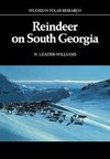 Reindeer on South Georgia