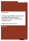 Das Spannungsverhältnis zwischen den deutschen Kommunen und der Europäischen Union am Beispiel der Daseinsvorsorge