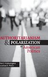 Authoritarianism and Polarization in American Politics