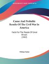 Cause And Probable Results Of The Civil War In America