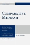 Comparative Midrash, Volume Two