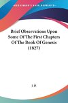 Brief Observations Upon Some Of The First Chapters Of The Book Of Genesis (1827)