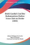 Briefe Goethe's Und Der Bedeutendsten Dichter Seiner Zeit An Herder (1858)