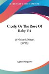 Cicely, Or The Rose Of Raby V4