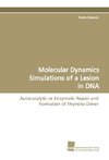 Molecular Dynamics Simulations of a Lesion in DNA